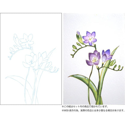 ZIG Kuretake Fude Brush Pen Clean Colours - Watercolor Illustration Lesson How to Draw Flower Gradation