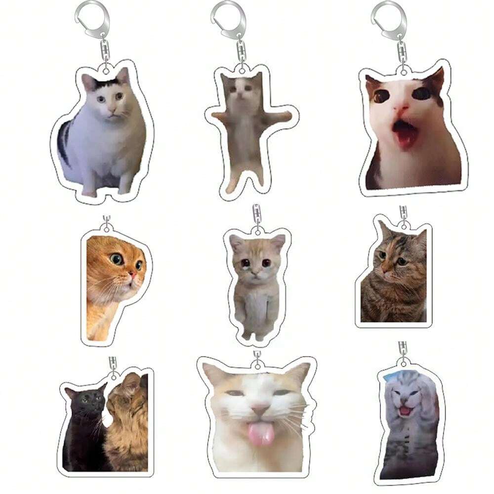 Cat Keychain Charm Meme