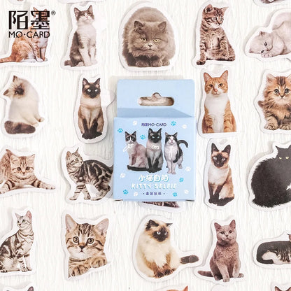 Sticker Box - Kitty Selfie - 45 Stickers