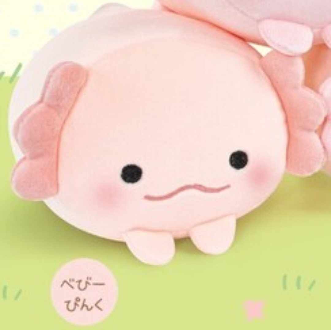 Mochifuwa Axolotl Plush Toys 14 cm