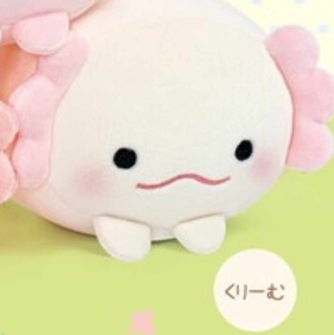 Mochifuwa Axolotl Plush Toys 14 cm