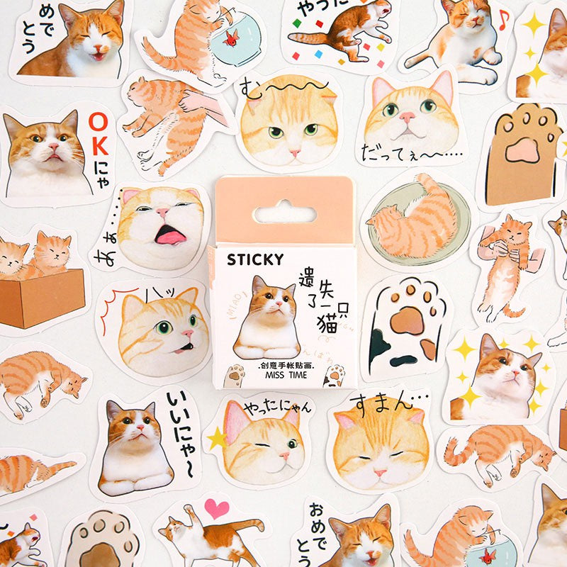 Clueless Orange Cat Sticker Box - 45 Stickers