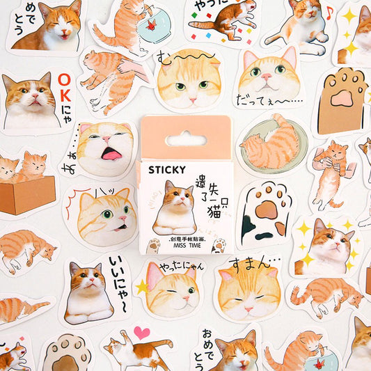 Sticker Box - Clueless Cat - 45 Stickers