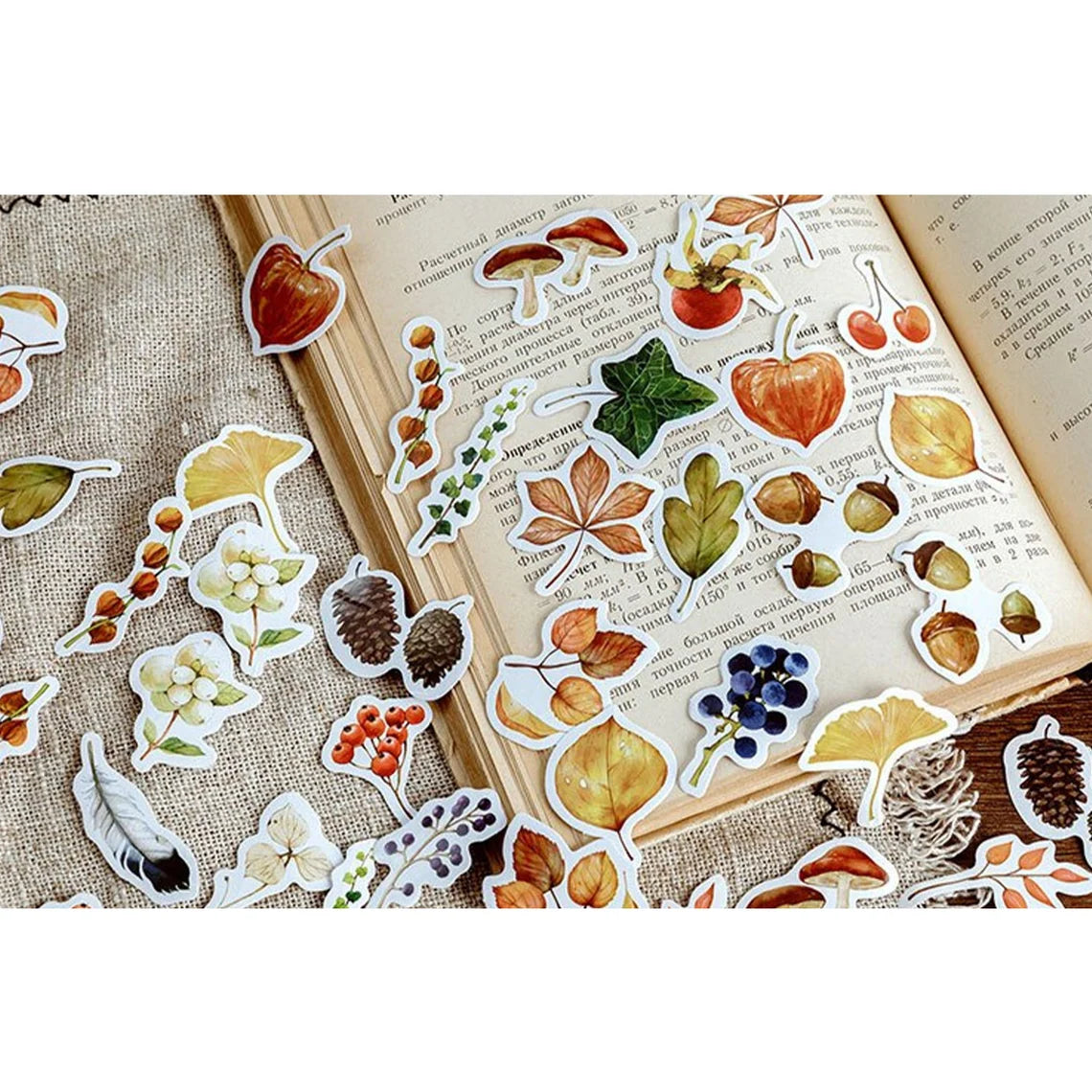Flight of the Fallens Leaves Sticker Box - 46 Stickers